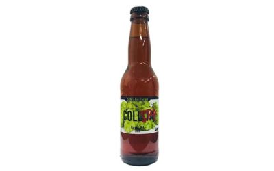Collipa: la primera cerveza elaborada íntegramente con lúpulos del Maestrat