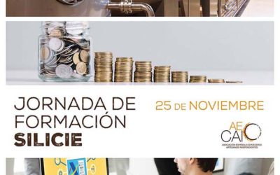 AECAI organiza una jornada formativa sobre el sistema Silicie de Impuestos Especiales