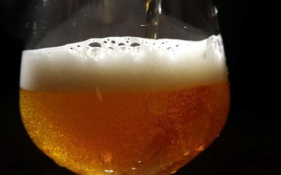 Curso de Gestión Sensorial e Introducción a la Cultura de las Cervezas