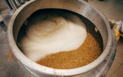 Webinar gratuito sobre la ‘Problemática y detección proactiva de levaduras salvajes en la cerveceras’