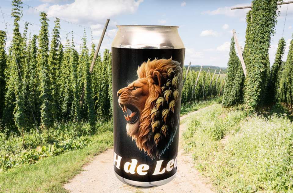H de León, la primera cerveza moderna hecha únicamente con lúpulo de León autóctono